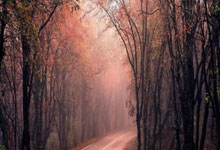 球派体育NBA直播好用吗？球迷看球体验全解析